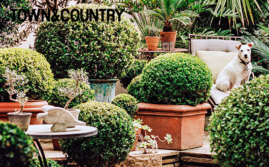 Town & Country Lush Life November 2013